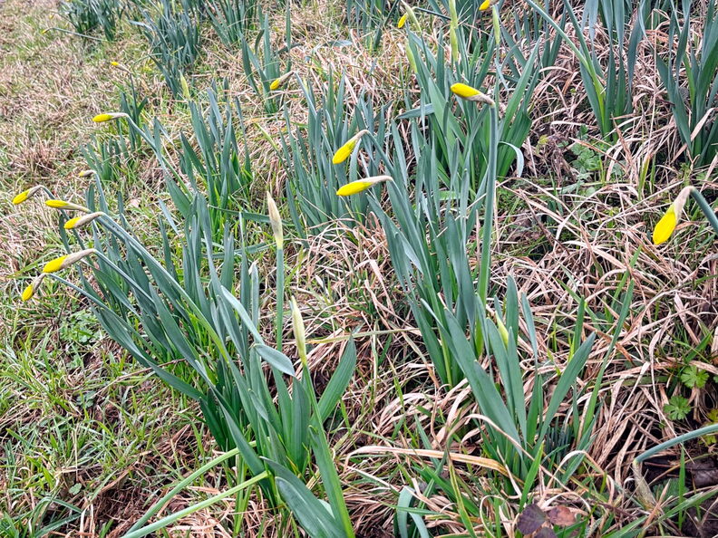 23-03-12 14-12-45 4788